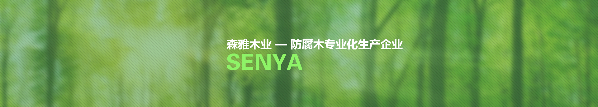 AG娱乐